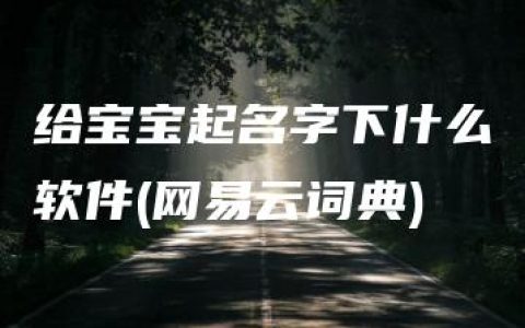 给宝宝起名字下什么软件(网易云词典)