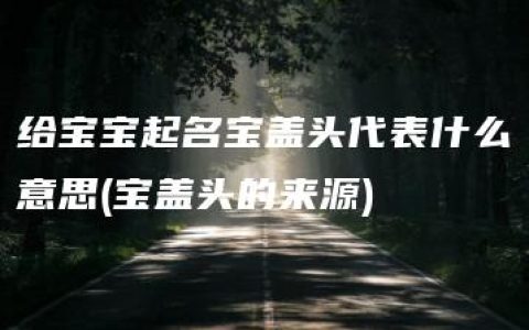 给宝宝起名宝盖头代表什么意思(宝盖头的来源)