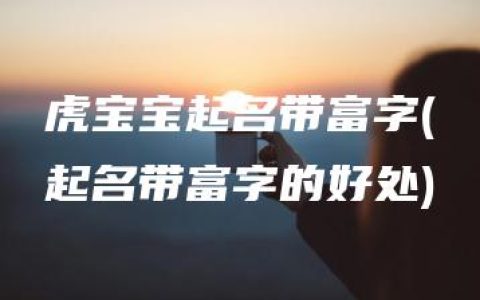 虎宝宝起名带富字(起名带富字的好处)