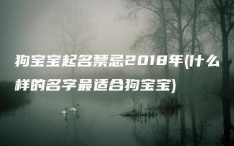 狗宝宝起名禁忌2018年(什么样的名字最适合狗宝宝)