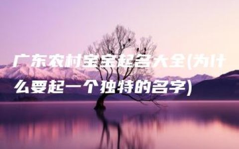 广东农村宝宝起名大全(为什么要起一个独特的名字)