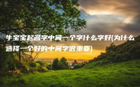 牛宝宝起名字中间一个字什么字好(为什么选择一个好的中间字很重要)