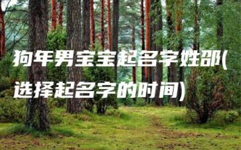 狗年男宝宝起名字姓邵(选择起名字的时间)