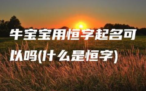 牛宝宝用恒字起名可以吗(什么是恒字)