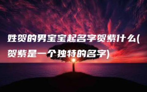 姓贺的男宝宝起名字贺紫什么(贺紫是一个独特的名字)