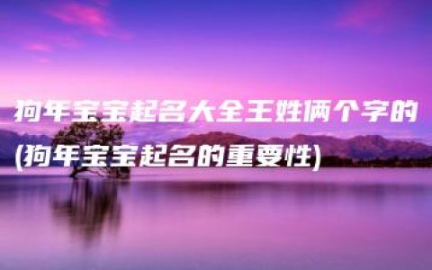 狗年宝宝起名大全王姓俩个字的(狗年宝宝起名的重要性)