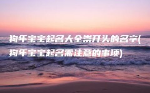 狗年宝宝起名大全崇开头的名字(狗年宝宝起名需注意的事项)