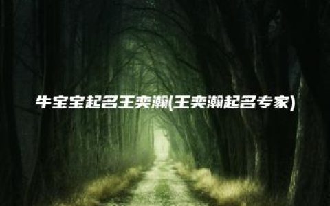 牛宝宝起名王奕瀚(王奕瀚起名专家)