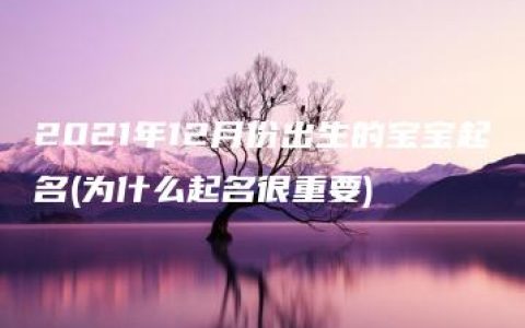 2021年12月份出生的宝宝起名(为什么起名很重要)