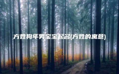 方姓狗年男宝宝起名(方姓的寓意)