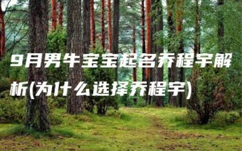 9月男牛宝宝起名乔程宇解析(为什么选择乔程宇)