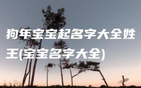 狗年宝宝起名字大全姓王(宝宝名字大全)