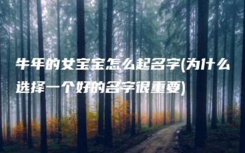 牛年的女宝宝怎么起名字(为什么选择一个好的名字很重要)