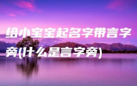 给小宝宝起名字带言字旁(什么是言字旁)