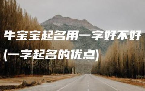 牛宝宝起名用一字好不好(一字起名的优点)