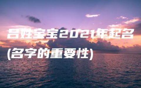 吕姓宝宝2021年起名(名字的重要性)