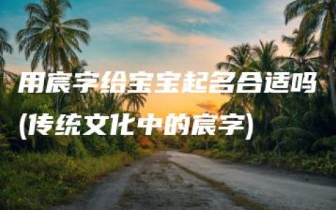 用宸字给宝宝起名合适吗(传统文化中的宸字)