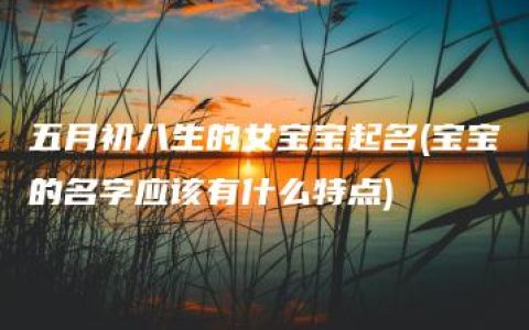 五月初八生的女宝宝起名(宝宝的名字应该有什么特点)