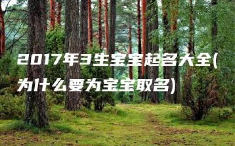 2017年3生宝宝起名大全(为什么要为宝宝取名)