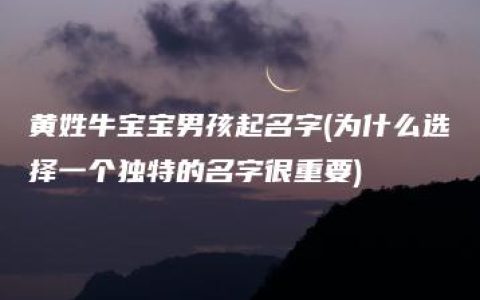 黄姓牛宝宝男孩起名字(为什么选择一个独特的名字很重要)