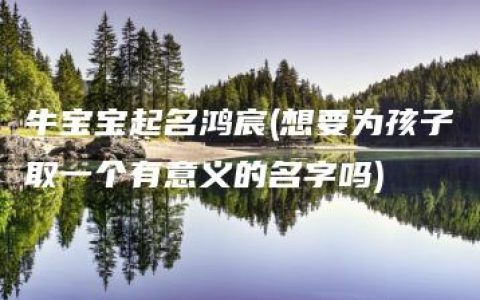 牛宝宝起名鸿宸(想要为孩子取一个有意义的名字吗)