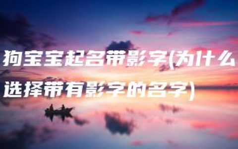 狗宝宝起名带影字(为什么选择带有影字的名字)