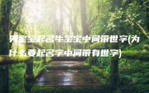 男宝宝起名牛宝宝中间带世字(为什么要起名字中间带有世字)