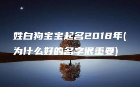 姓白狗宝宝起名2018年(为什么好的名字很重要)