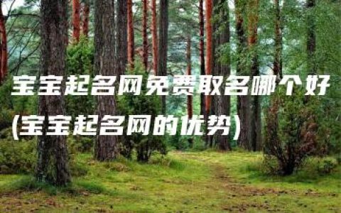 宝宝起名网免费取名哪个好(宝宝起名网的优势)