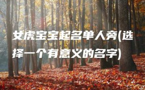 女虎宝宝起名单人旁(选择一个有意义的名字)