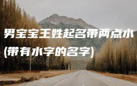 男宝宝王姓起名带两点水(带有水字的名字)