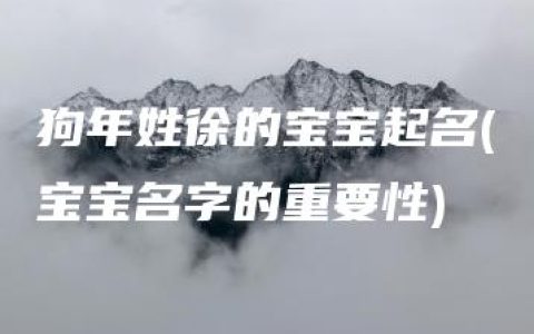 狗年姓徐的宝宝起名(宝宝名字的重要性)