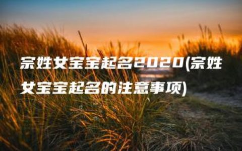 宗姓女宝宝起名2020(宗姓女宝宝起名的注意事项)