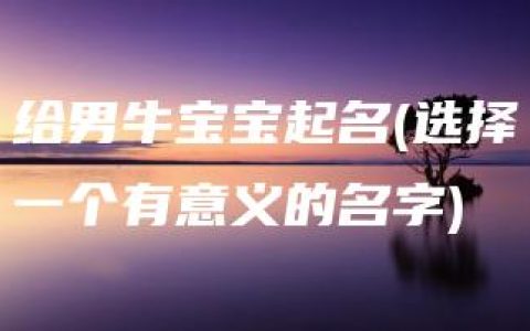 给男牛宝宝起名(选择一个有意义的名字)