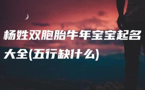 杨姓双胞胎牛年宝宝起名大全(五行缺什么)