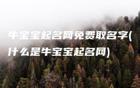 牛宝宝起名网免费取名字(什么是牛宝宝起名网)