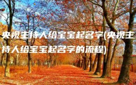 央视主持人给宝宝起名字(央视主持人给宝宝起名字的流程)