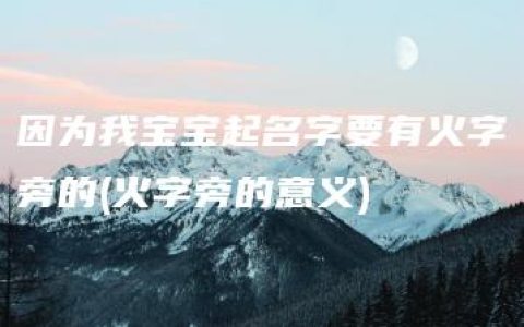 因为我宝宝起名字要有火字旁的(火字旁的意义)