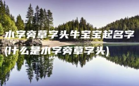 水字旁草字头牛宝宝起名字(什么是水字旁草字头)