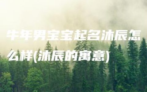 牛年男宝宝起名沐辰怎么样(沐辰的寓意)