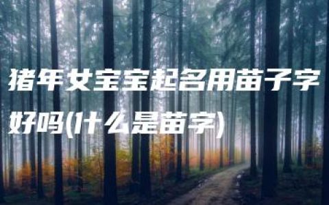 猪年女宝宝起名用苗子字好吗(什么是苗字)