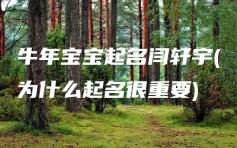 牛年宝宝起名闫轩宇(为什么起名很重要)