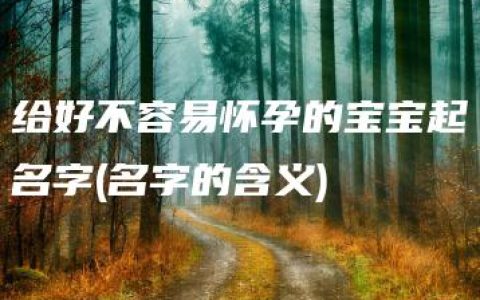 给好不容易怀孕的宝宝起名字(名字的含义)