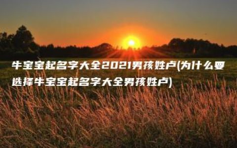 牛宝宝起名字大全2021男孩姓卢(为什么要选择牛宝宝起名字大全男孩姓卢)