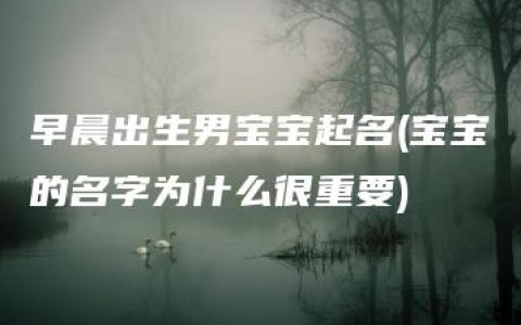 早晨出生男宝宝起名(宝宝的名字为什么很重要)