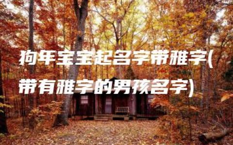 狗年宝宝起名字带雅字(带有雅字的男孩名字)