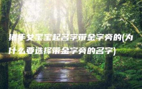 猪年女宝宝起名字带金字旁的(为什么要选择带金字旁的名字)