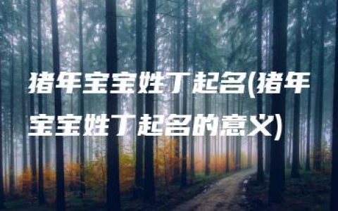 猪年宝宝姓丁起名(猪年宝宝姓丁起名的意义)