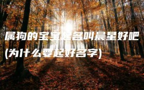 属狗的宝宝起名叫晨星好吧(为什么要起好名字)