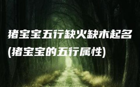 猪宝宝五行缺火缺木起名(猪宝宝的五行属性)